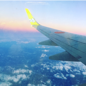 AIRDOのウィングレット