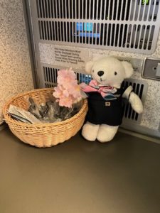 AIR DOの機内でお客様を出迎えるベアドゥ