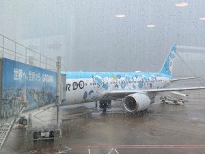 羽田空港にいるロコンジェット