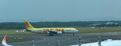 新千歳空港から飛び立つロコンジェット
