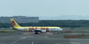 新千歳空港にいるロコンジェット