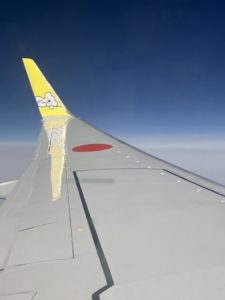 AIRDOのウイングレット