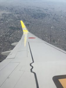 AIRDOのウイングレット