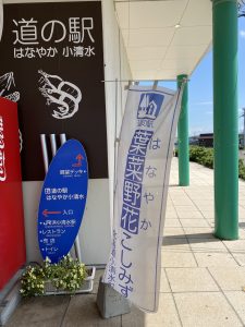 道の駅葉菜野花こしみず