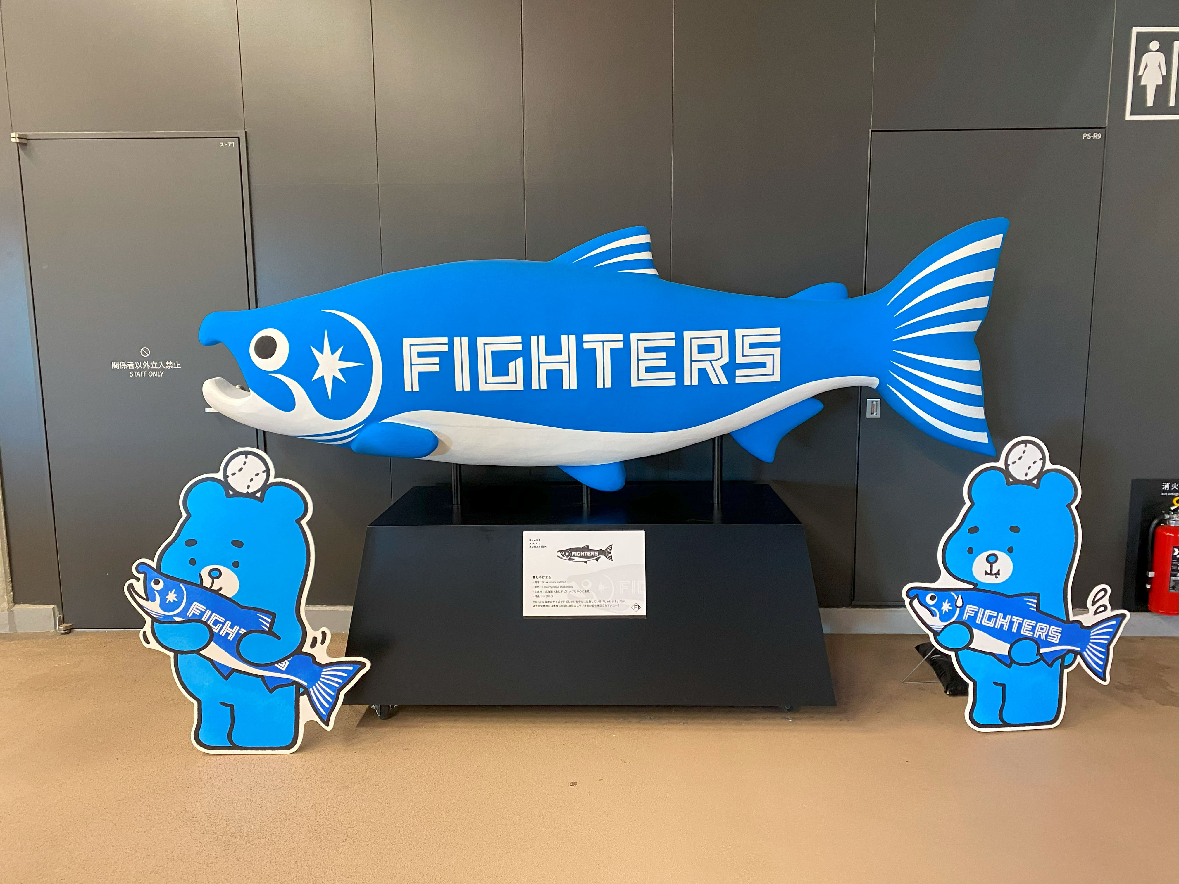 エスコンフィールドのえふたん